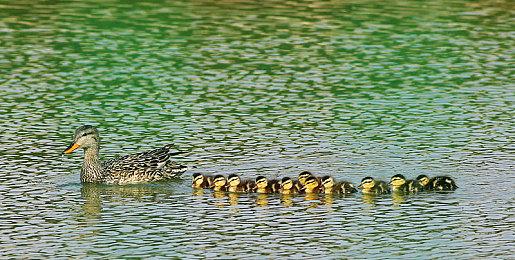 第一人称解谜冒险游戏《法拉第协议》8月12日推出